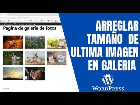 Miniatura · Arreglar tamaño de ultima imagen de galería en Wordpress